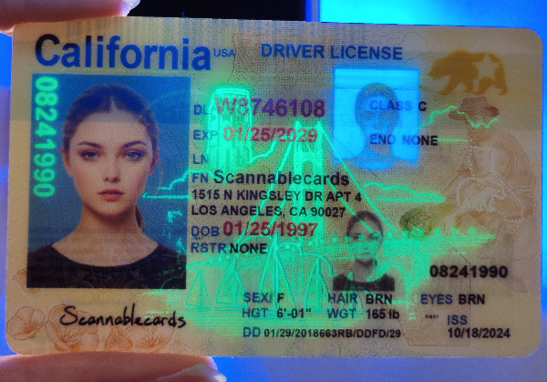 California 5