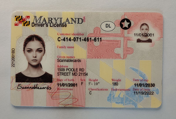 Maryland-1