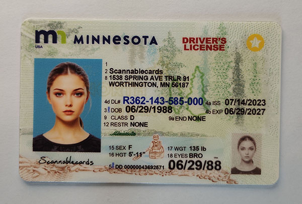 Minnesota-1