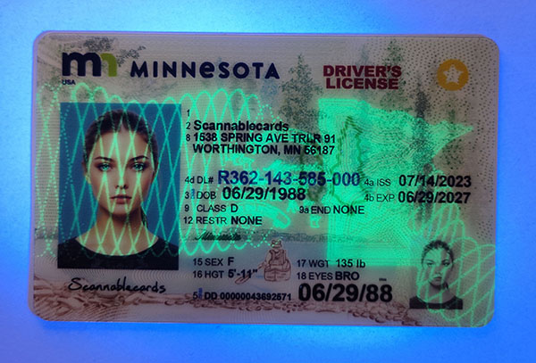 Minnesota-3