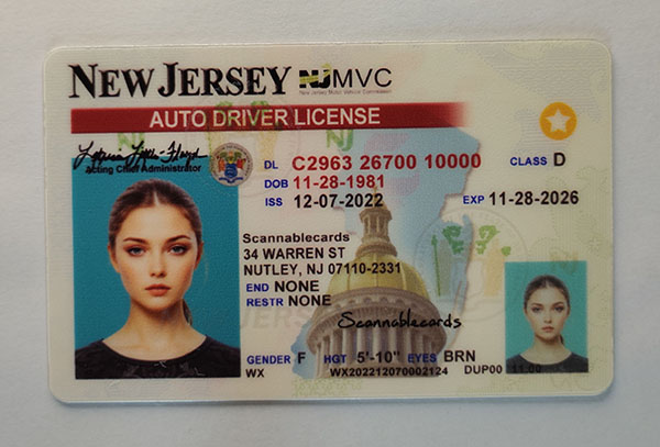 New Jersey-1