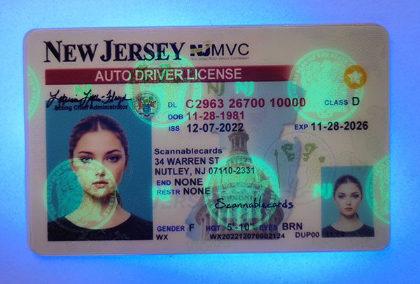 New Jersey-3