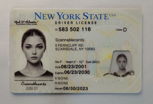 New York-1