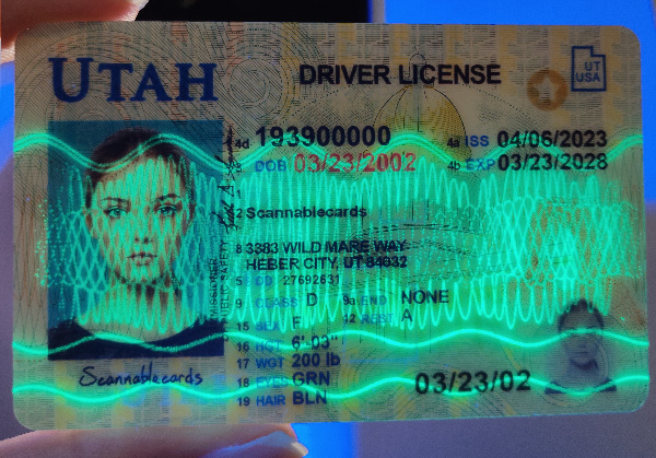 Utah 5
