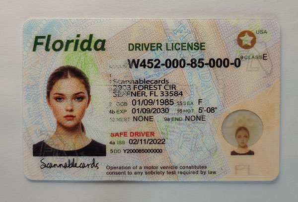 Florida-1
