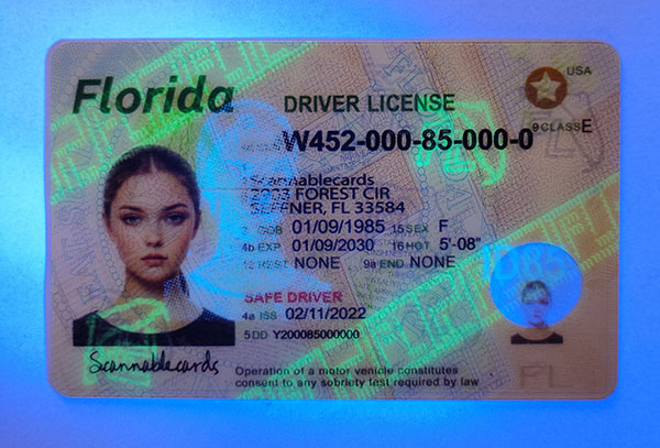 Florida-3