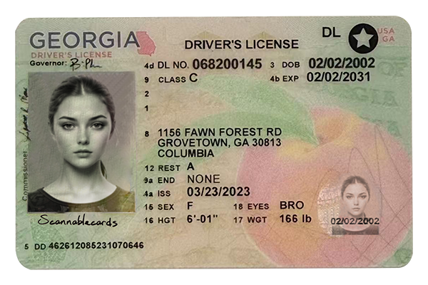 GA NEW1