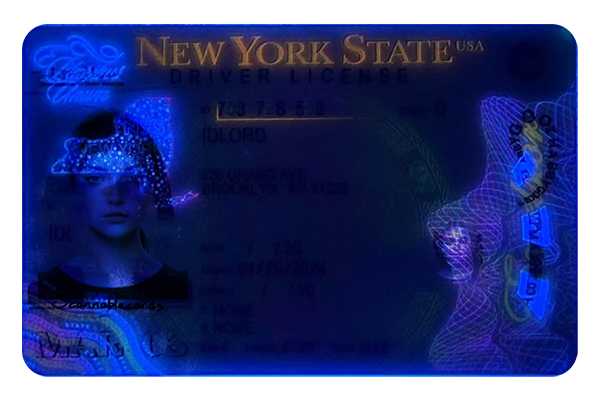 NY NEW3